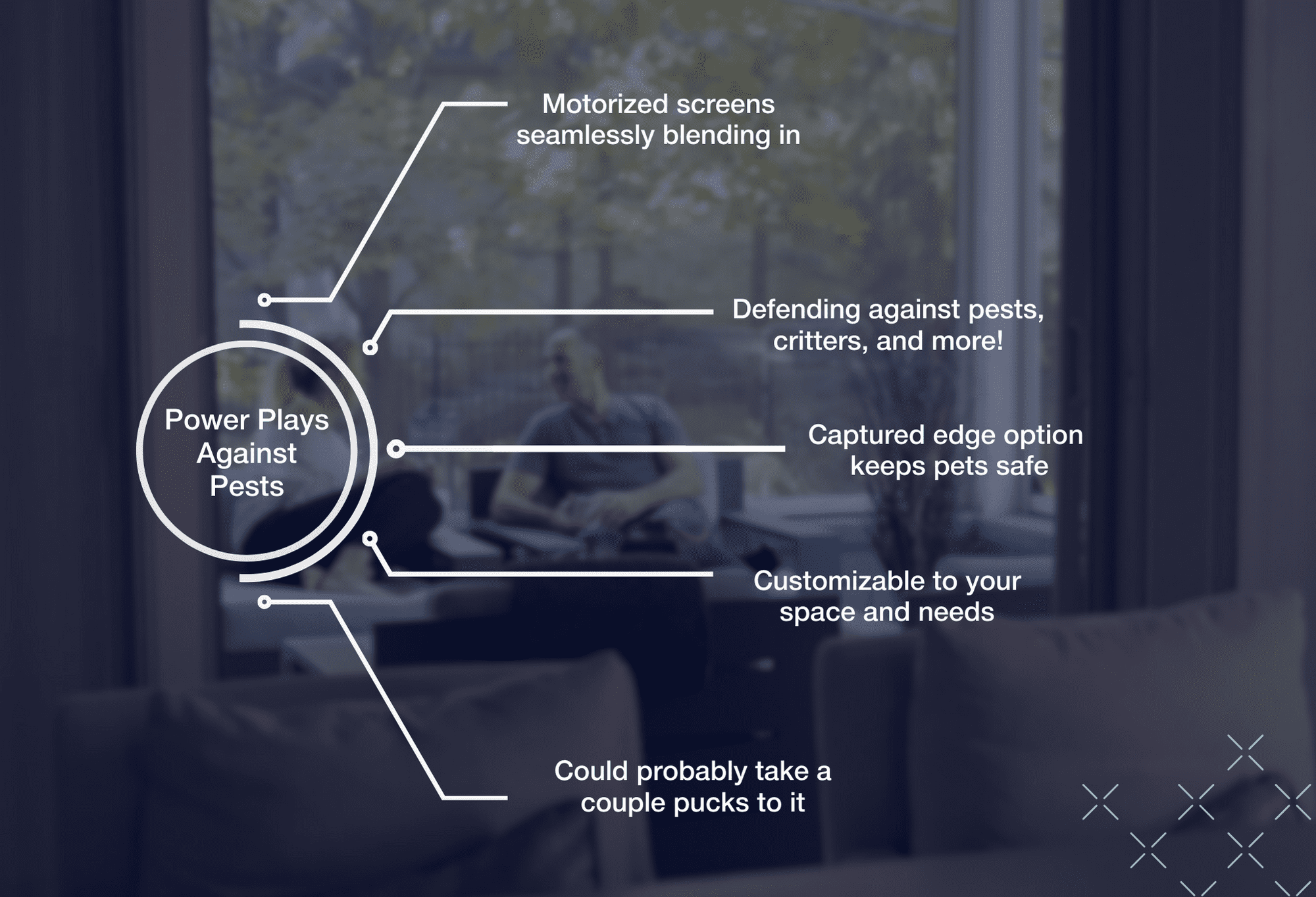 Phantom Screens infographic for bug protection